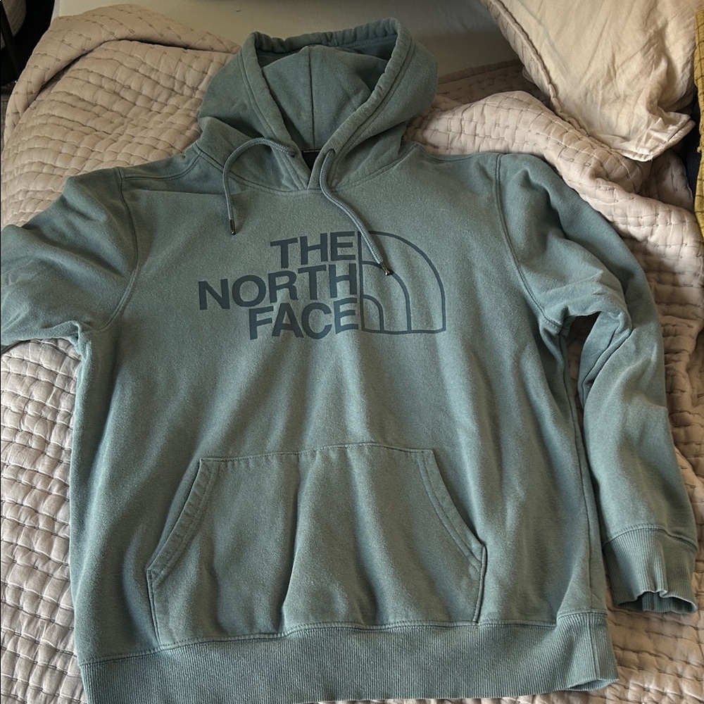 The North Face Men's Teal Hoodie Sweater